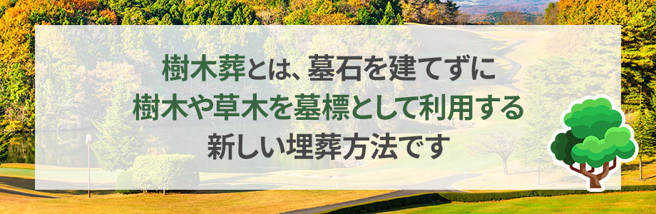 樹木葬とは？どんな埋葬方法なのか簡単に解説